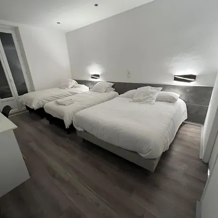 Castel Louis فيشي